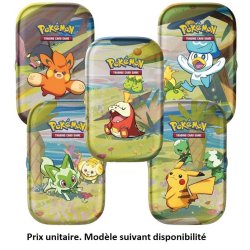 POKEMON MINI TINS Q2...