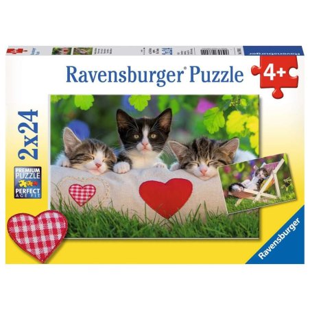 2X24PCS CHATONS REPOS...