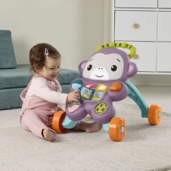 LE TROTTEUR DU SINGE VIOLET...