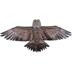 CERF VOLANT AIGLE SIDJ DB17073