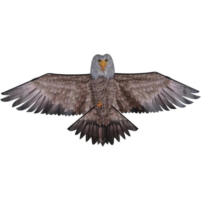 CERF VOLANT AIGLE SIDJ DB17073