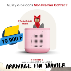 MON PREMIER COFFRET TONIBOX 2 ROSE FLEUR TONIES