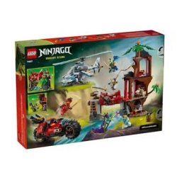 LA CABANE ET LES VEHICULES...