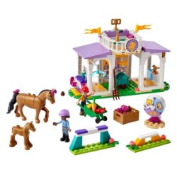 LE DRESSAGE EQUESTRE LEGO 41746