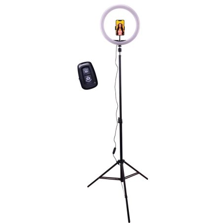 MEDIA STATION SIDJ 24061536