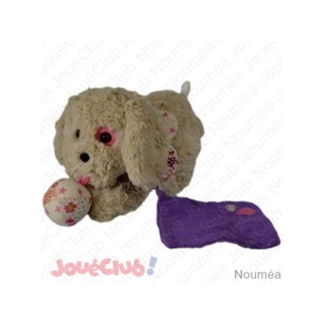 CHIEN DOOBY BEIGE SIDJ...