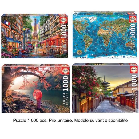 PUZZLE 1000 PCS ASST EDUCA